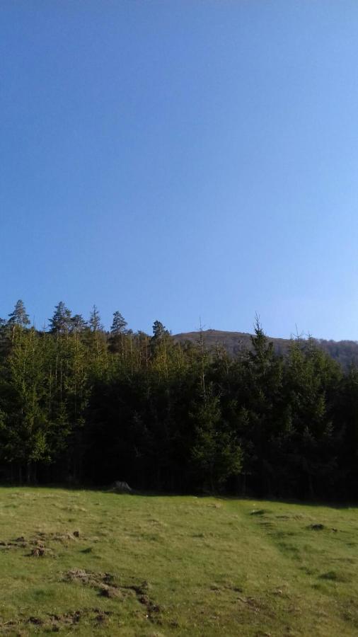 Над Вичов Volovets Buitenkant foto