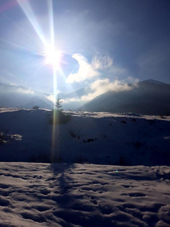 Над Вичов Volovets Buitenkant foto